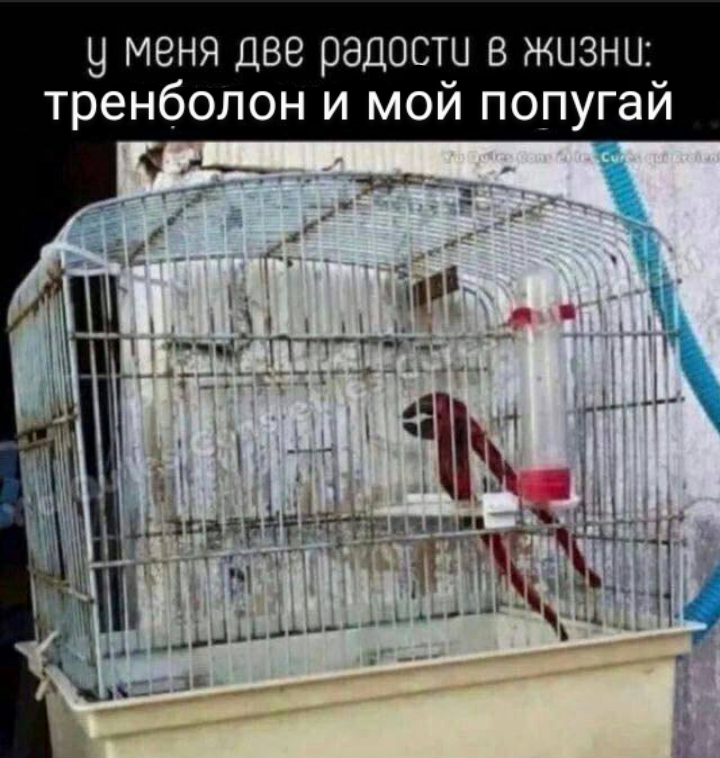 Анекдоты обо всем - Бодибилдинг форум AnabolicShops