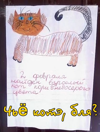 Анекдоты обо всем - Бодибилдинг форум AnabolicShops