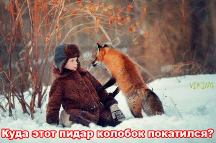 Анекдоты обо всем - Бодибилдинг форум AnabolicShops