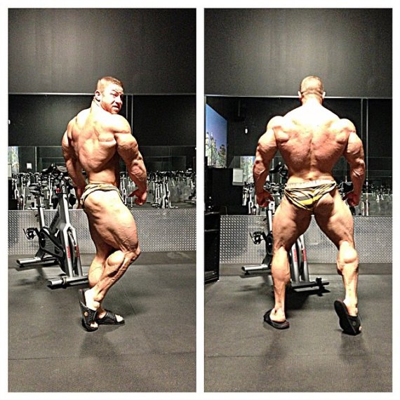 Wings of Strength Tampa Pro 2015 - Бодибилдинг форум AnabolicShops