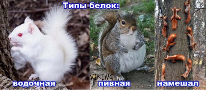 Курилка- разговоры на любые темы - Бодибилдинг форум AnabolicShops