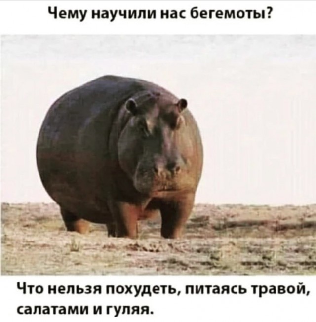 Курилка- разговоры на любые темы - Бодибилдинг форум AnabolicShops