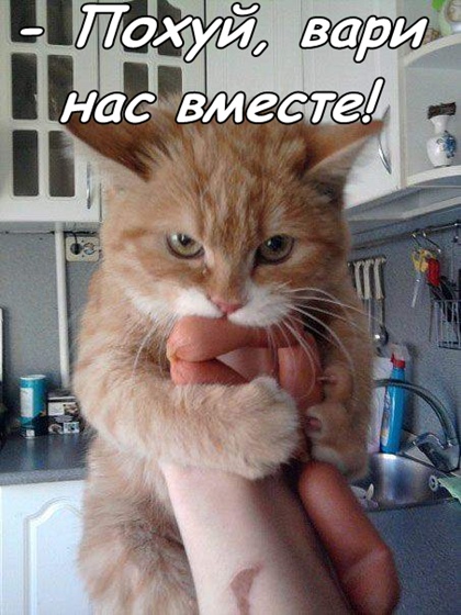 Анекдоты обо всем - Бодибилдинг форум AnabolicShops