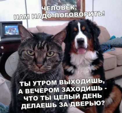 Анекдоты обо всем - Бодибилдинг форум AnabolicShops