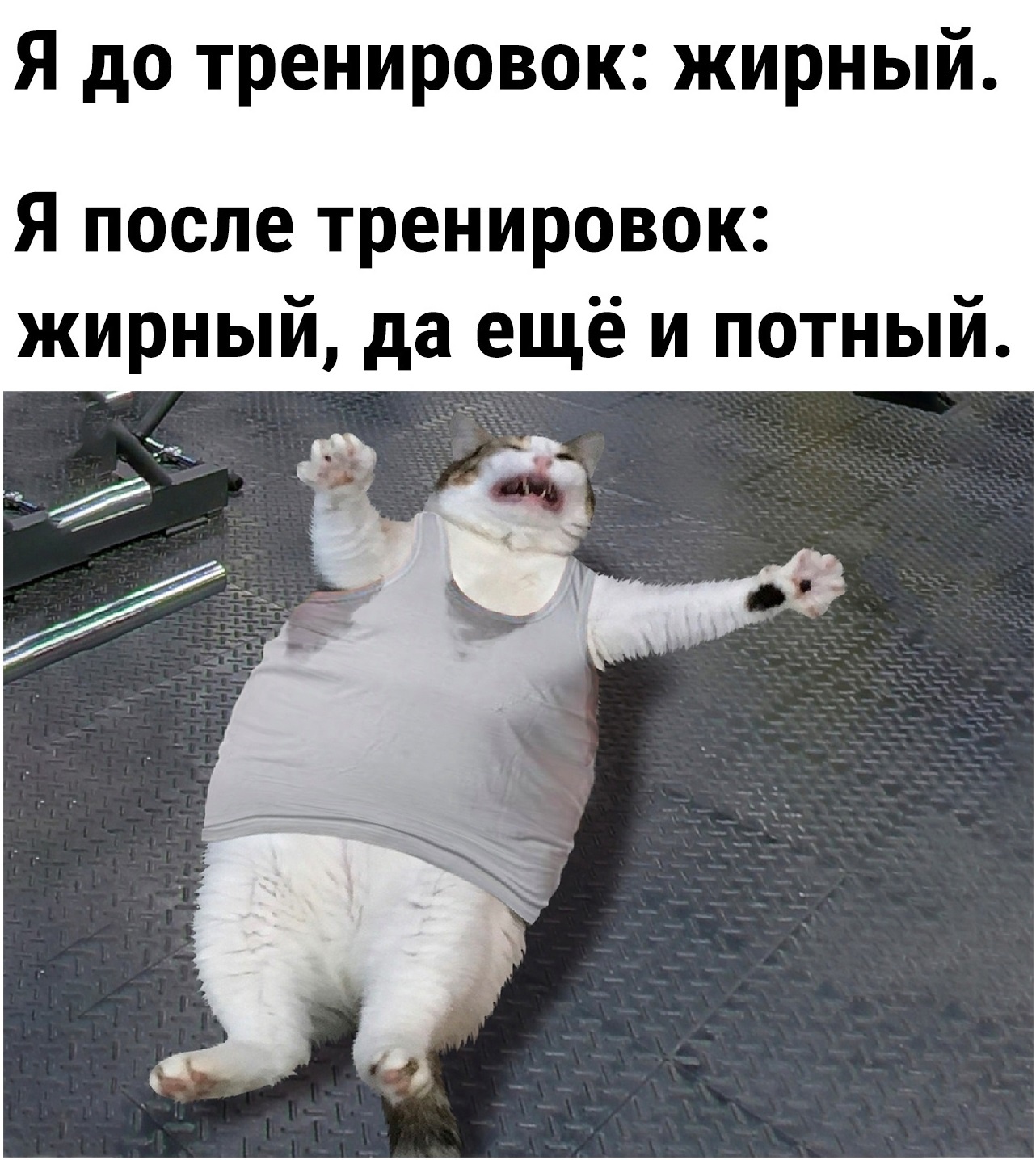 Курилка- разговоры на любые темы - Бодибилдинг форум AnabolicShops