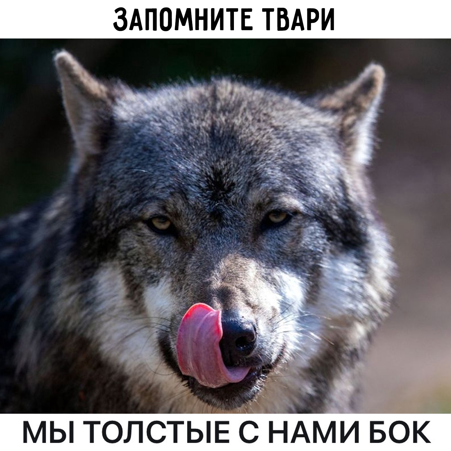 Курилка- разговоры на любые темы - Бодибилдинг форум AnabolicShops