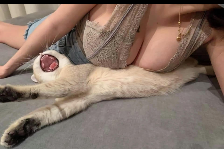 Анекдоты обо всем - Бодибилдинг форум AnabolicShops