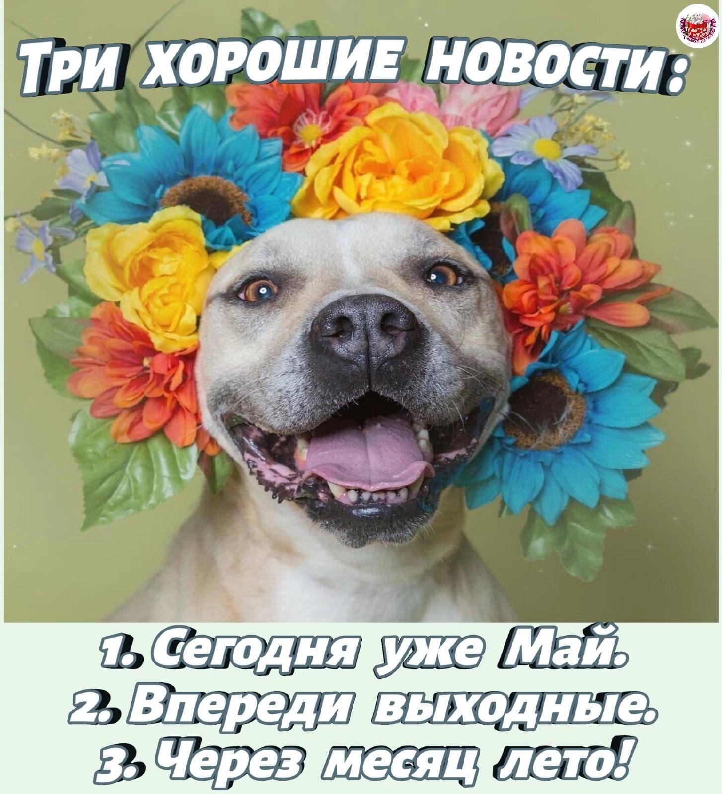 Homosteron.com оф.дилер Zphc|CanadaPeptides|Ergo Mrc - Бодибилдинг форум AnabolicShops