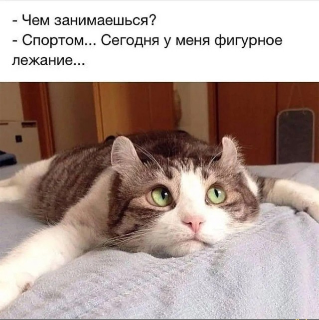 Курилка- разговоры на любые темы - Бодибилдинг форум AnabolicShops