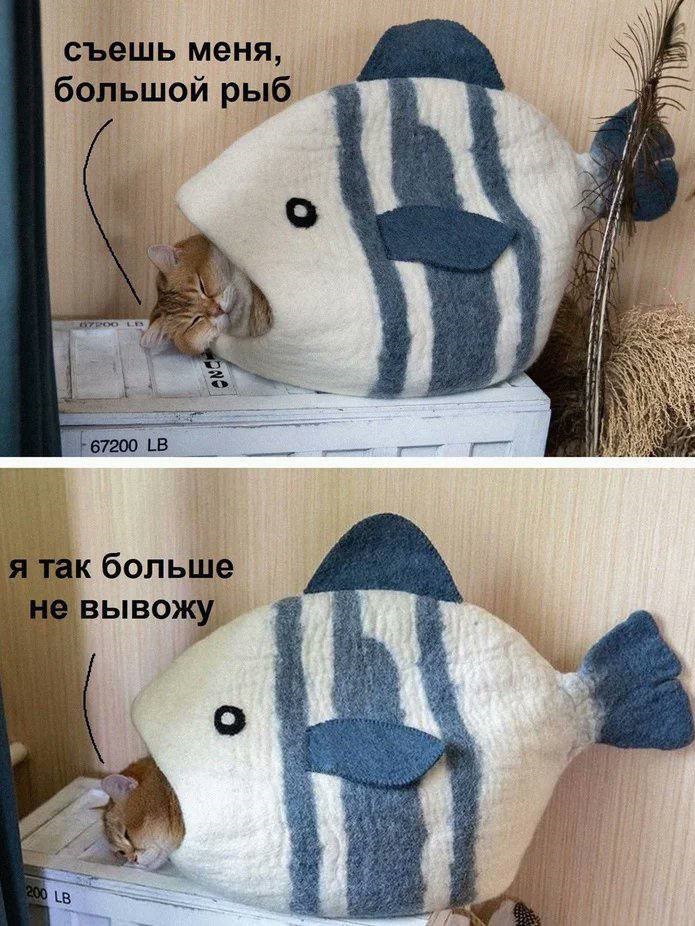 Анекдоты обо всем - Бодибилдинг форум AnabolicShops