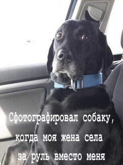 Курилка- разговоры на любые темы - Бодибилдинг форум AnabolicShops