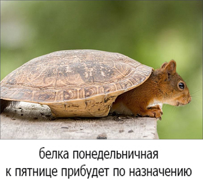 Анекдоты обо всем - Бодибилдинг форум AnabolicShops