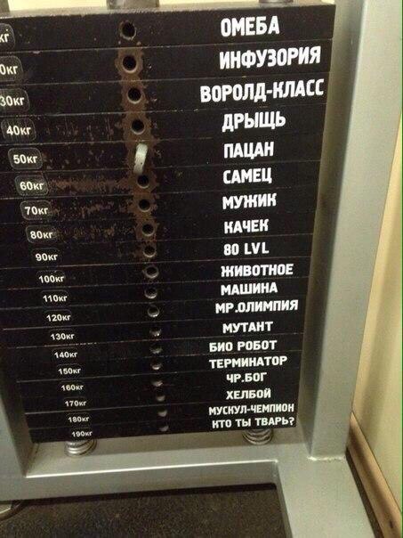 Pharmlabs.online Магазин качественной фармы 8 лет на рынке. Отправка из РФ - Бодибилдинг форум AnabolicShops