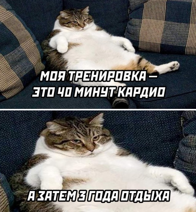 Курилка- разговоры на любые темы - Бодибилдинг форум AnabolicShops