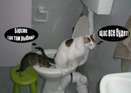 Анекдоты обо всем - Бодибилдинг форум AnabolicShops