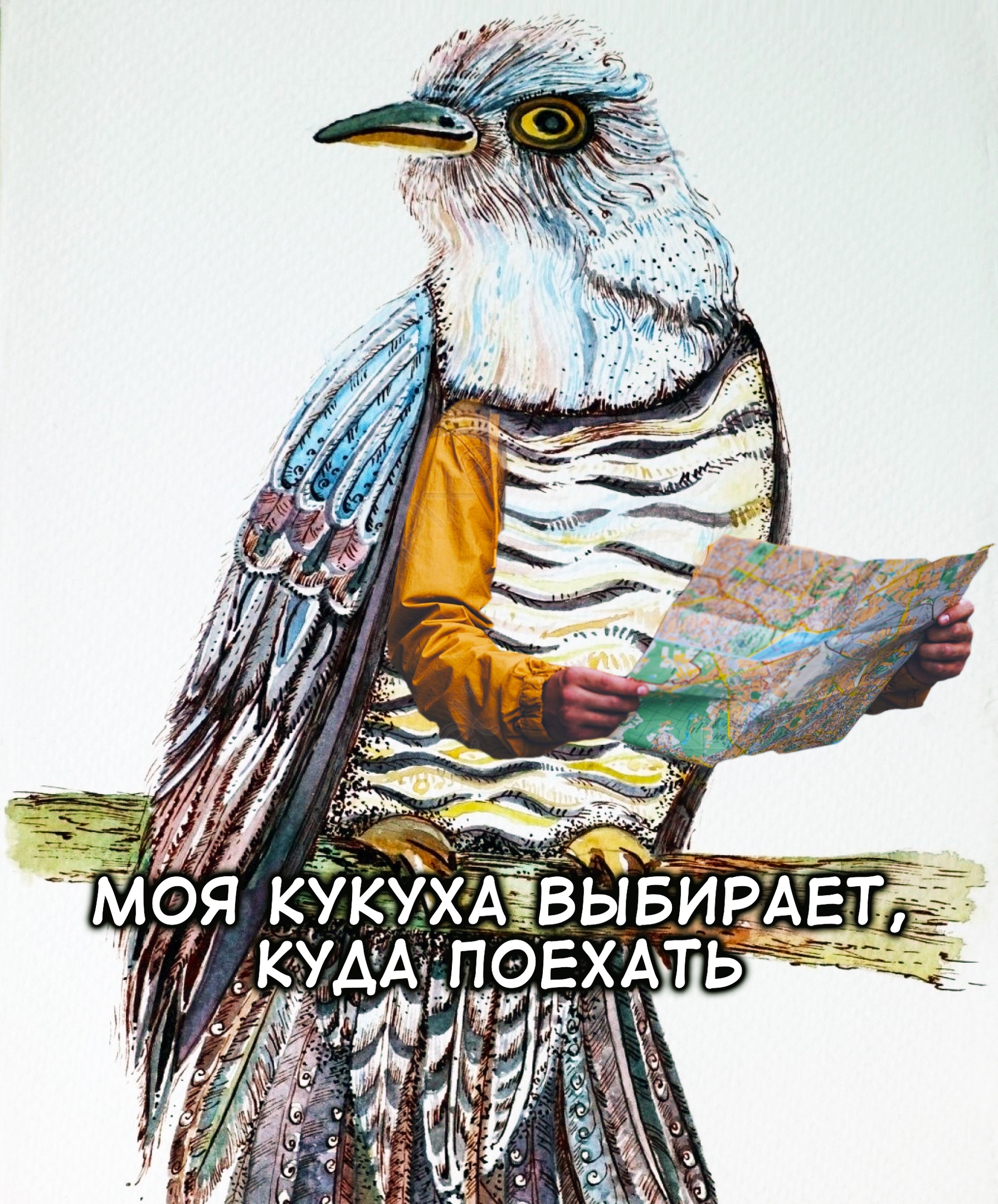 Анекдоты обо всем - Бодибилдинг форум AnabolicShops