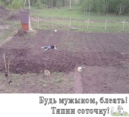 Анекдоты обо всем - Бодибилдинг форум AnabolicShops