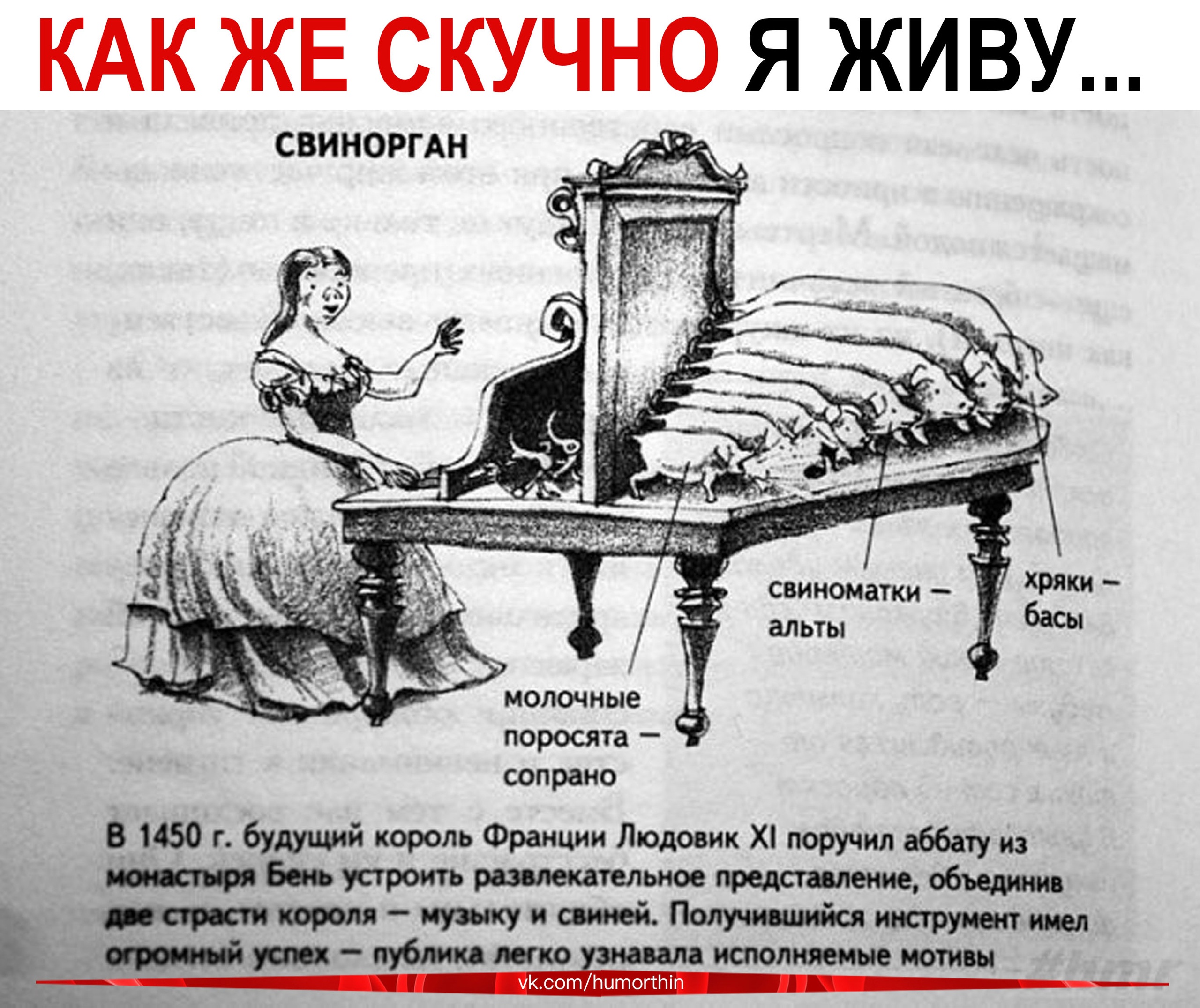 Анекдоты обо всем - Бодибилдинг форум AnabolicShops