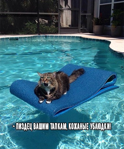 Анекдоты обо всем - Бодибилдинг форум AnabolicShops