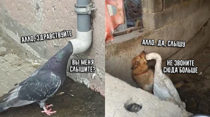 Анекдоты обо всем - Бодибилдинг форум AnabolicShops