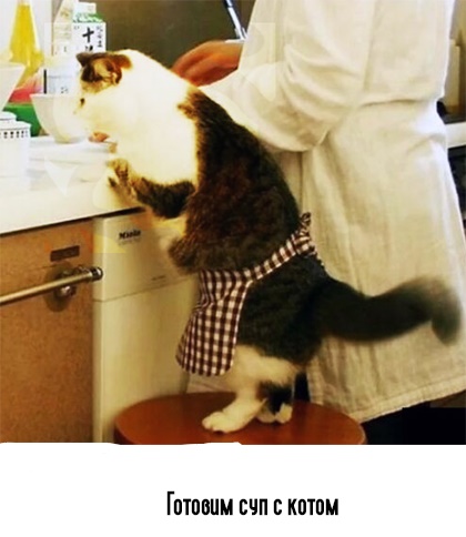 Анекдоты обо всем - Бодибилдинг форум AnabolicShops