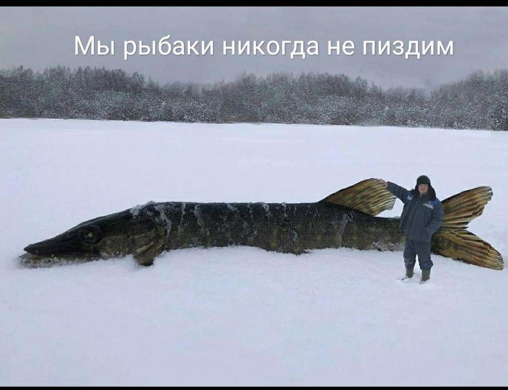 Анекдоты обо всем - Бодибилдинг форум AnabolicShops