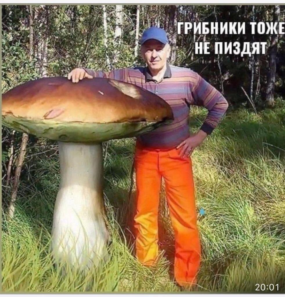 Анекдоты обо всем - Бодибилдинг форум AnabolicShops