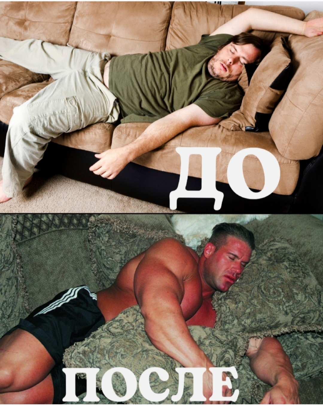 АНАБОЛИКИ.net - оф.дилер SP, Zerox, Genetic, Magnus, Lyka ! - Бодибилдинг форум AnabolicShops