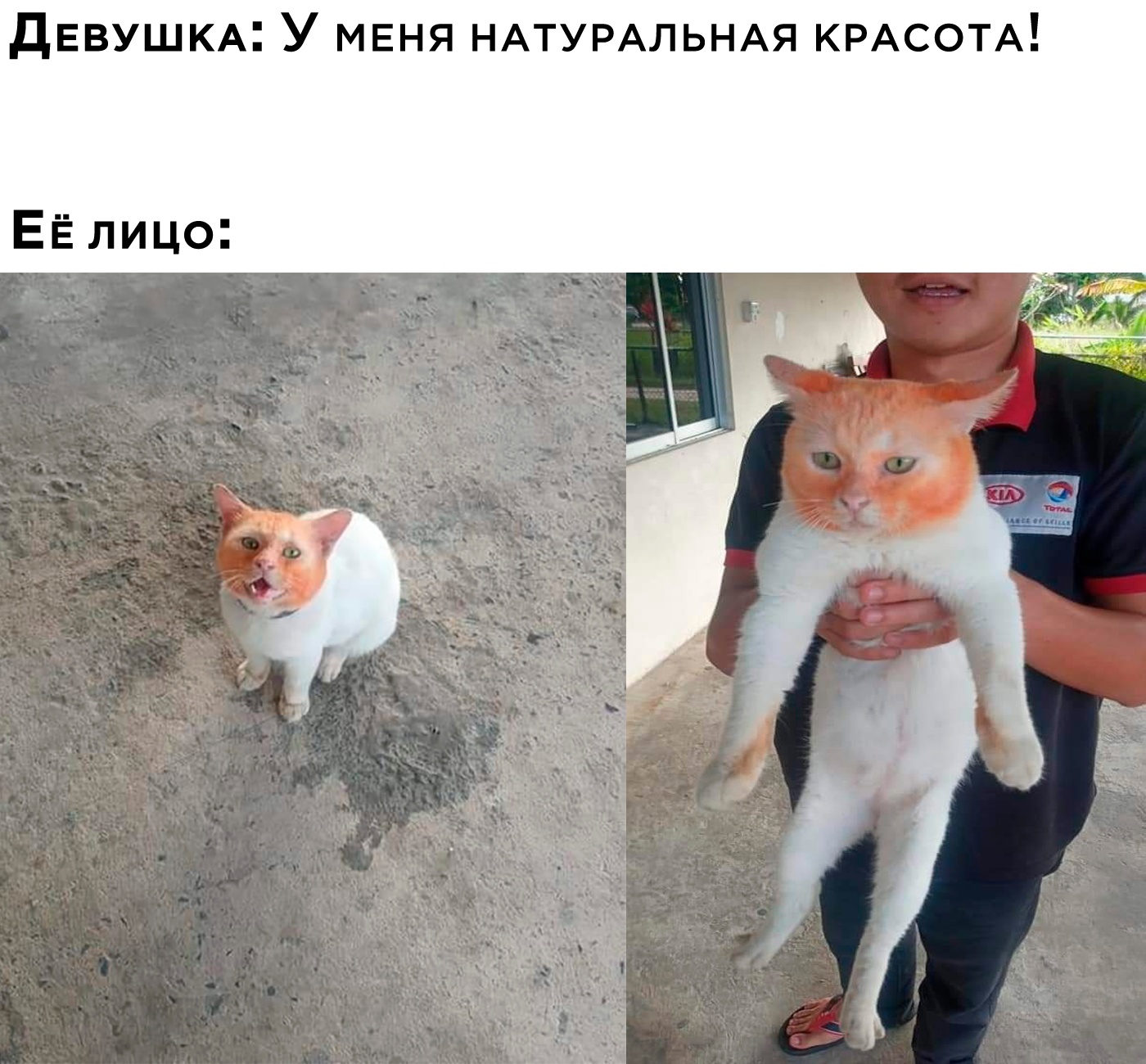 Анекдоты обо всем - Бодибилдинг форум AnabolicShops