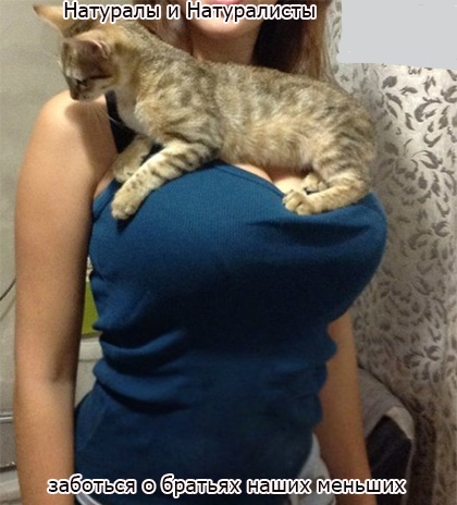 Курилка- разговоры на любые темы - Бодибилдинг форум AnabolicShops