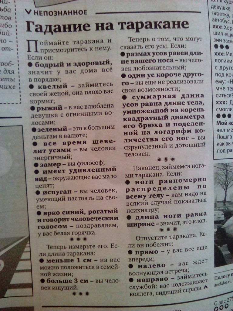 Анекдоты обо всем - Бодибилдинг форум AnabolicShops