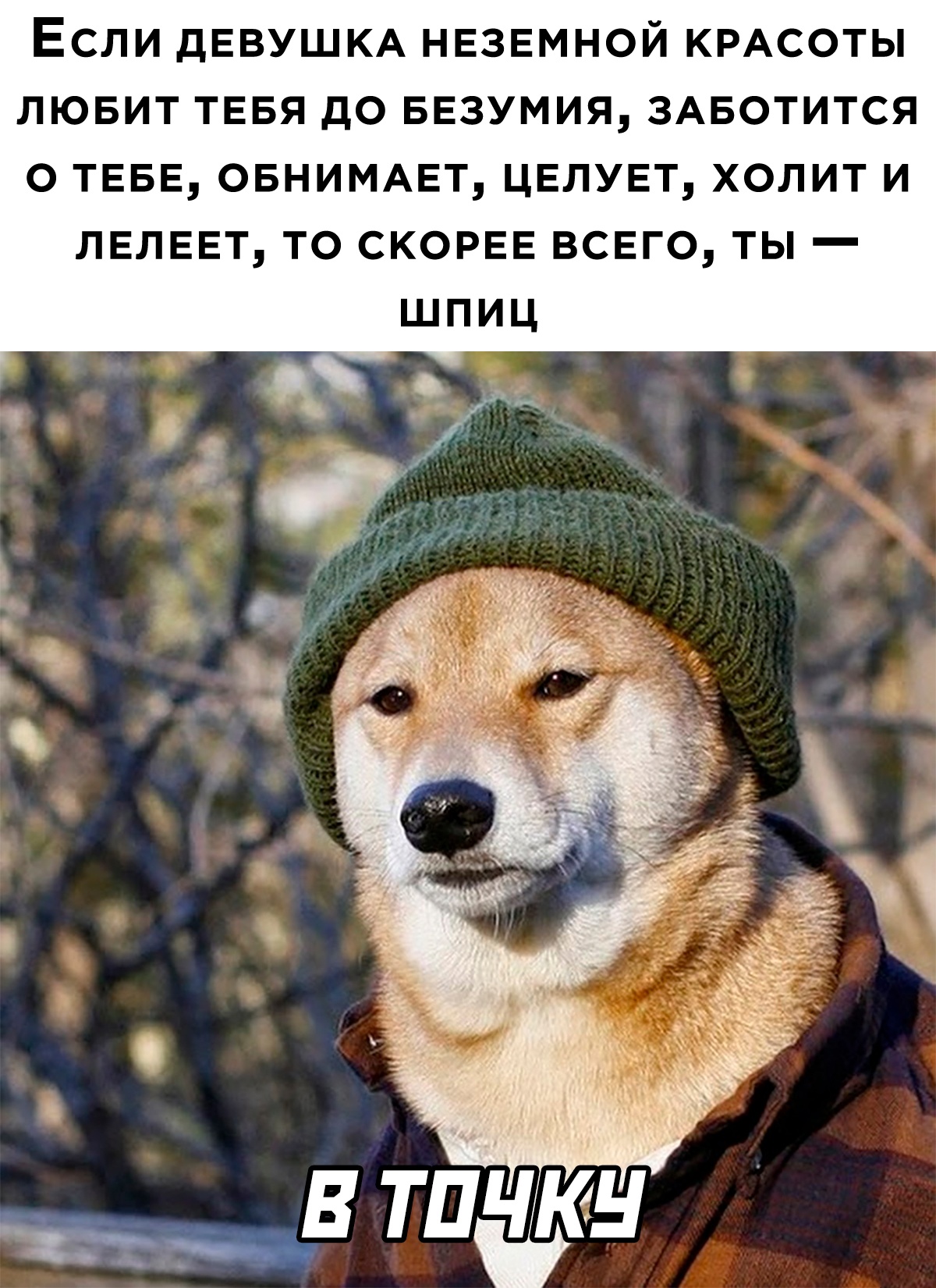 Курилка- разговоры на любые темы - Бодибилдинг форум AnabolicShops