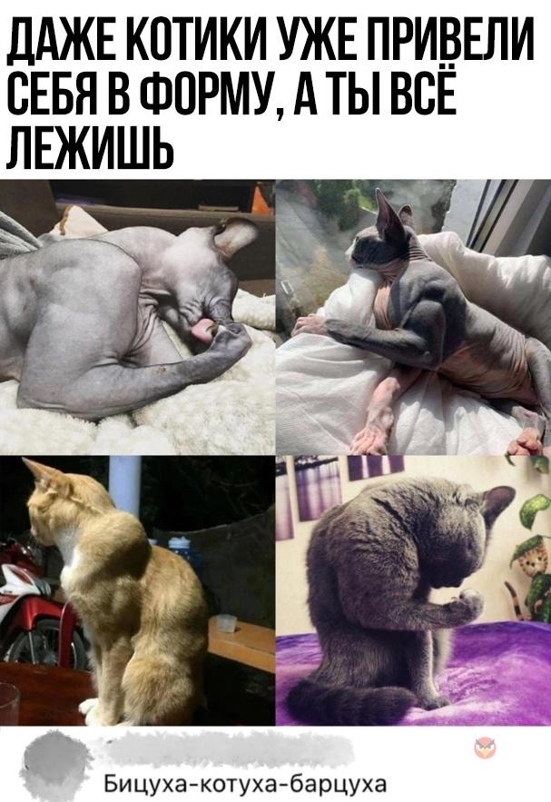 Курилка- разговоры на любые темы - Бодибилдинг форум AnabolicShops