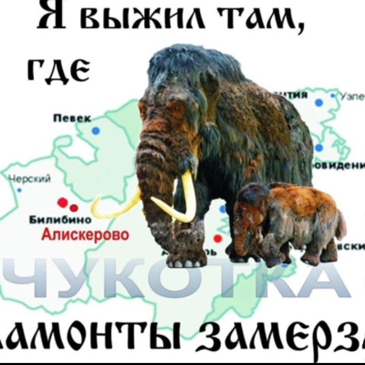 Поздравляем сокланов тут! - Бодибилдинг форум AnabolicShops