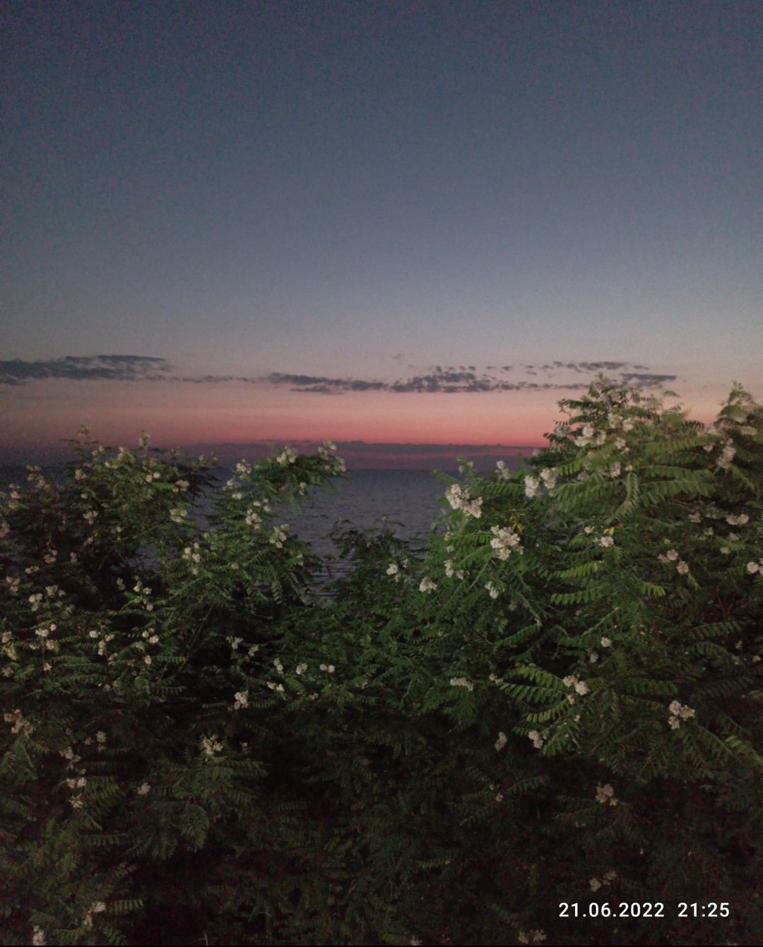 Homosteron.com оф.дилер Zphc|CanadaPeptides|Ergo Mrc - Бодибилдинг форум AnabolicShops