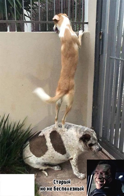 Анекдоты обо всем - Бодибилдинг форум AnabolicShops