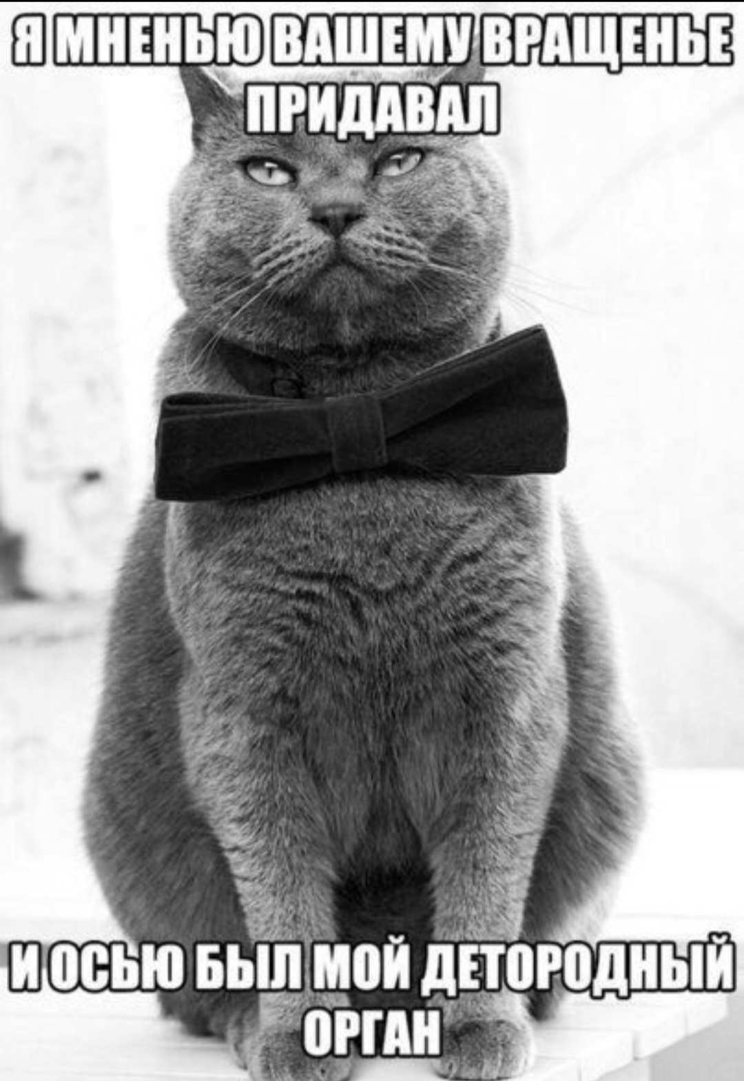 Курилка- разговоры на любые темы - Бодибилдинг форум AnabolicShops