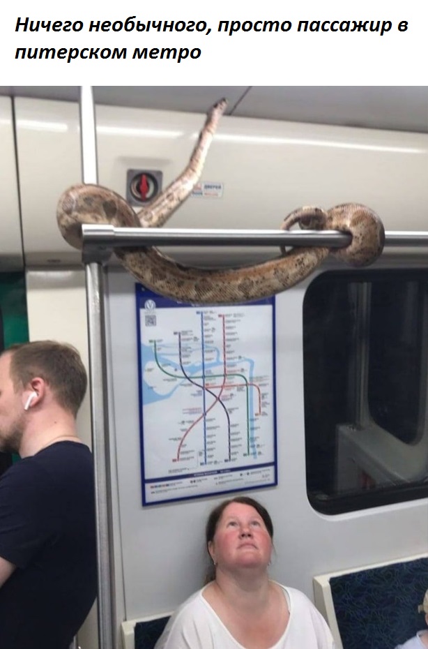 Жим, рекорд, элита и пожать четырех себя! - Бодибилдинг форум AnabolicShops