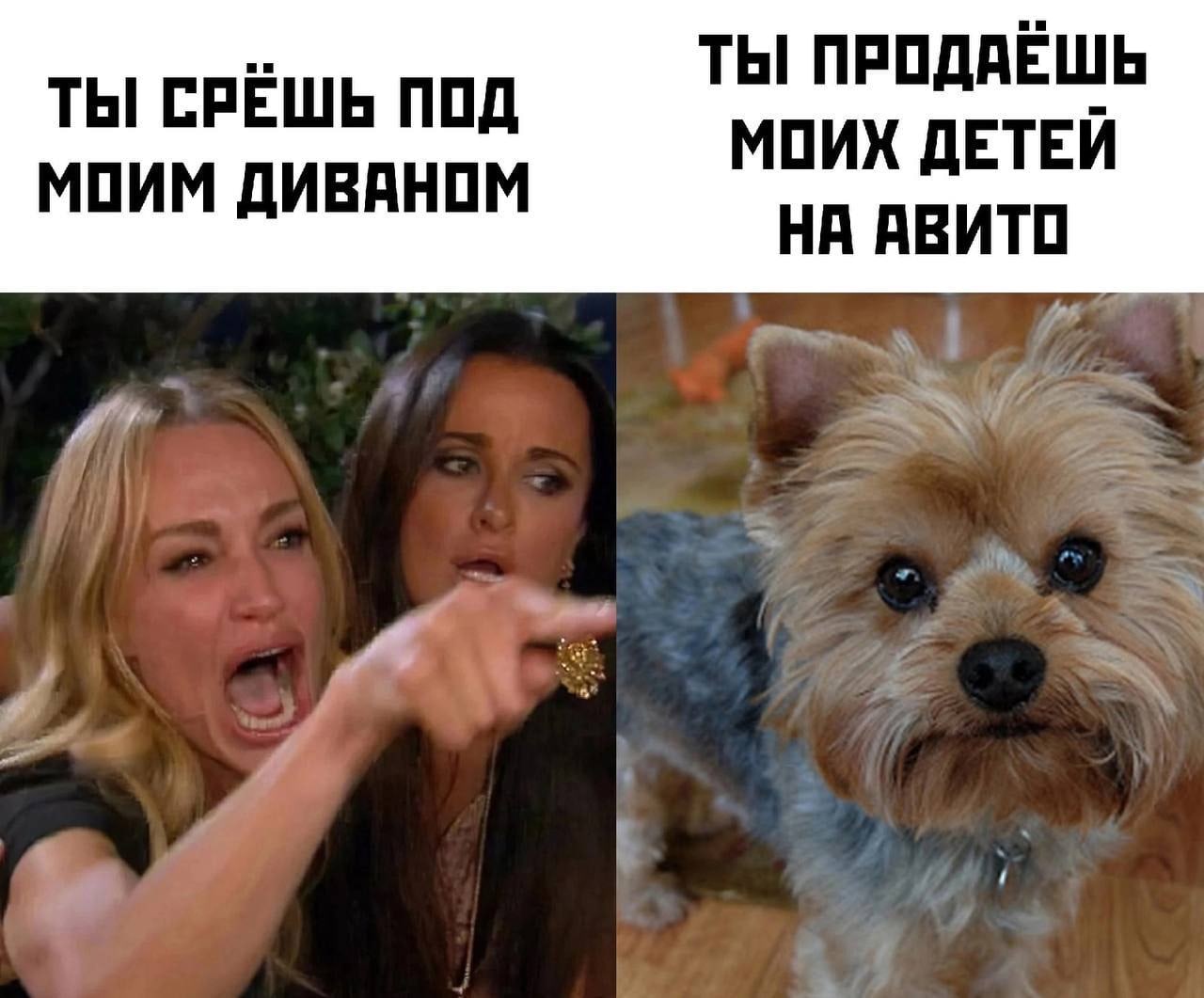 Анекдоты обо всем - Бодибилдинг форум AnabolicShops