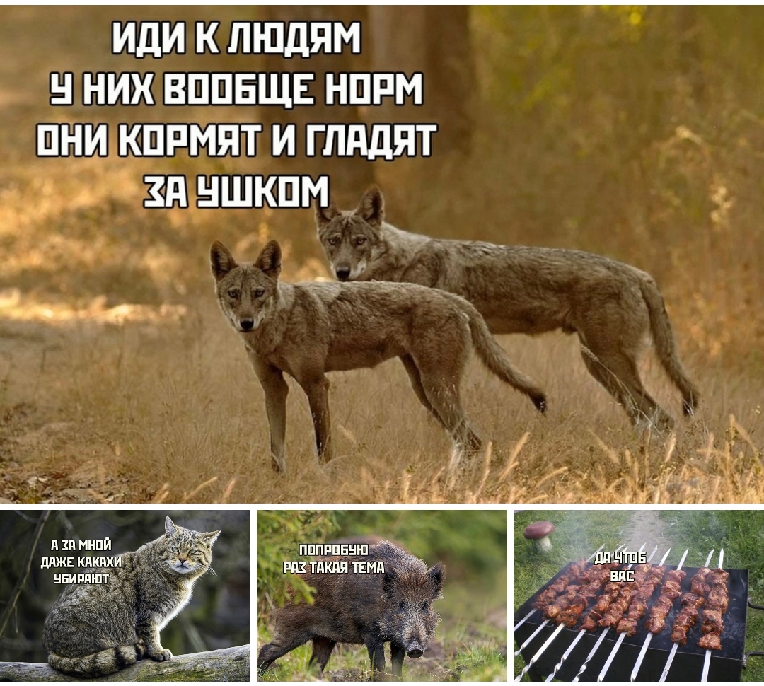 Анекдоты обо всем - Бодибилдинг форум AnabolicShops