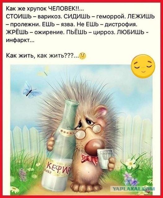 Анекдоты обо всем - Бодибилдинг форум AnabolicShops