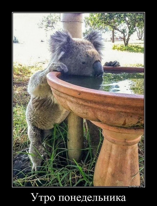 Курилка- разговоры на любые темы - Бодибилдинг форум AnabolicShops