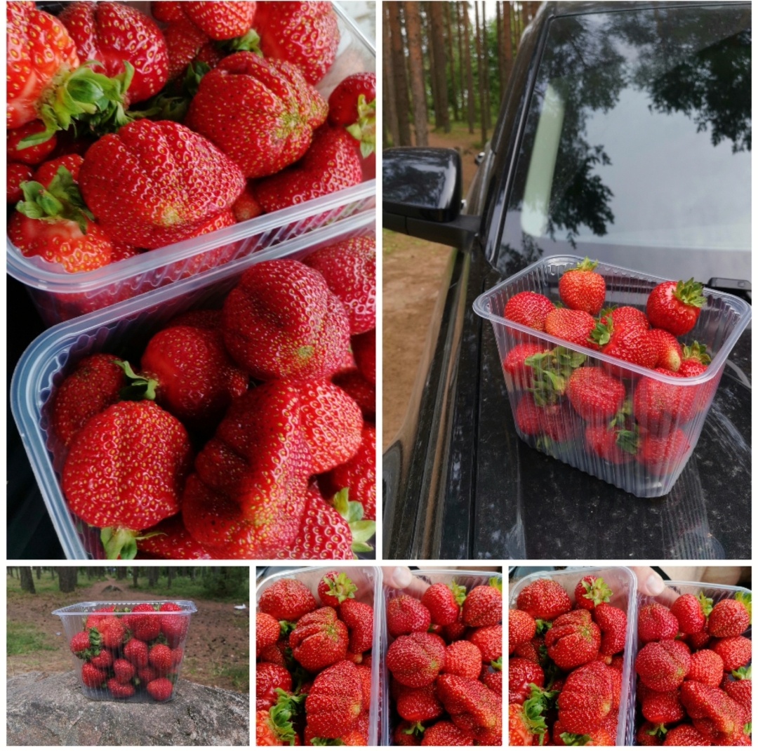 Курилка- разговоры на любые темы - Бодибилдинг форум AnabolicShops