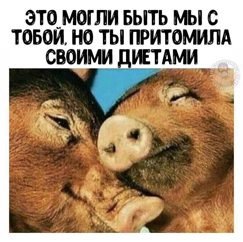 Анекдоты обо всем - Бодибилдинг форум AnabolicShops