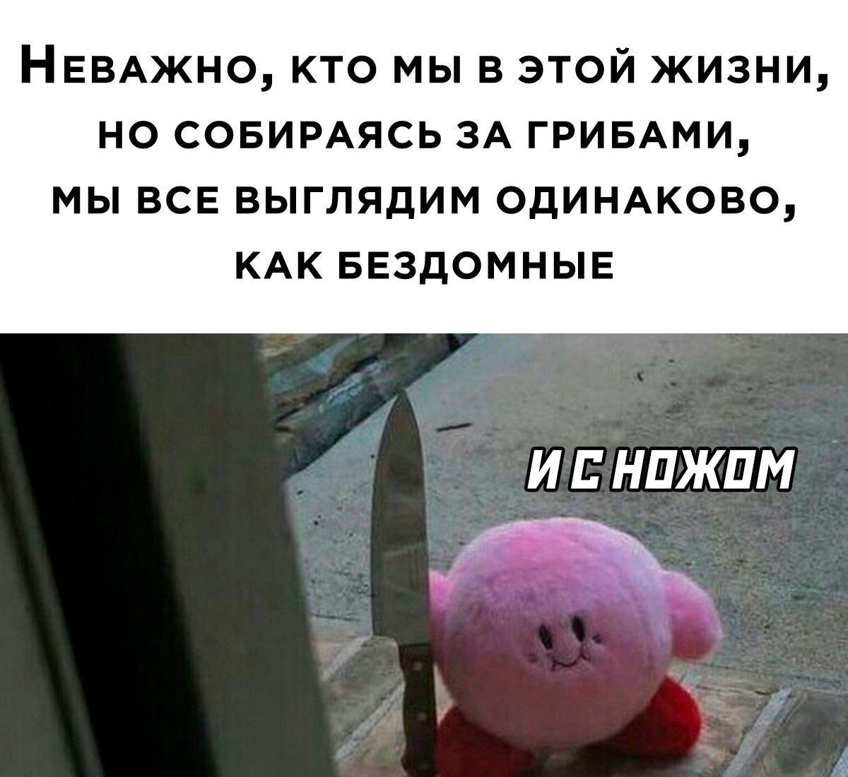 Анекдоты обо всем - Бодибилдинг форум AnabolicShops