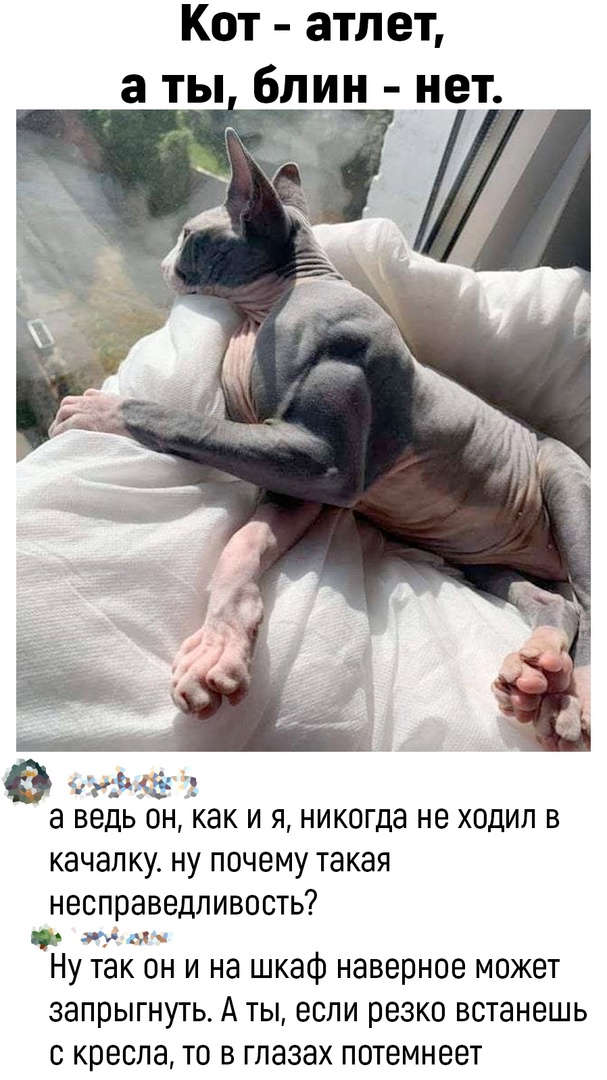 Курилка- разговоры на любые темы - Бодибилдинг форум AnabolicShops