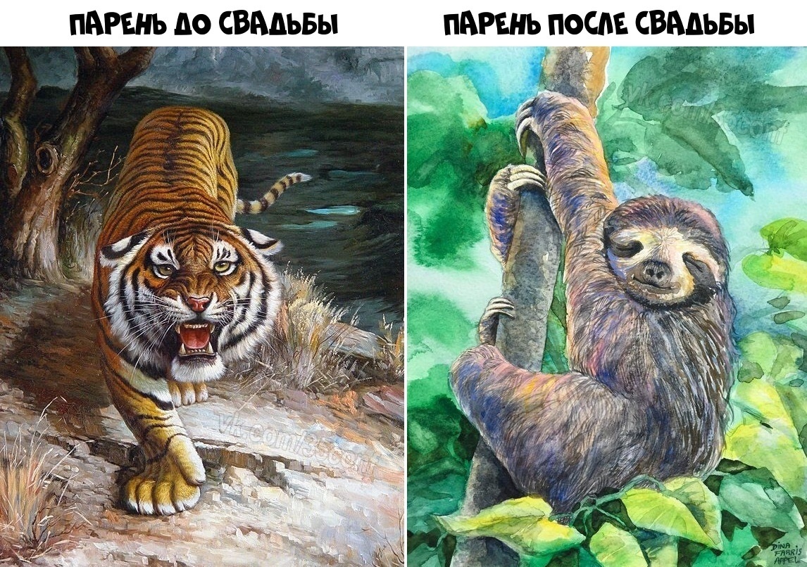 Анекдоты обо всем - Бодибилдинг форум AnabolicShops