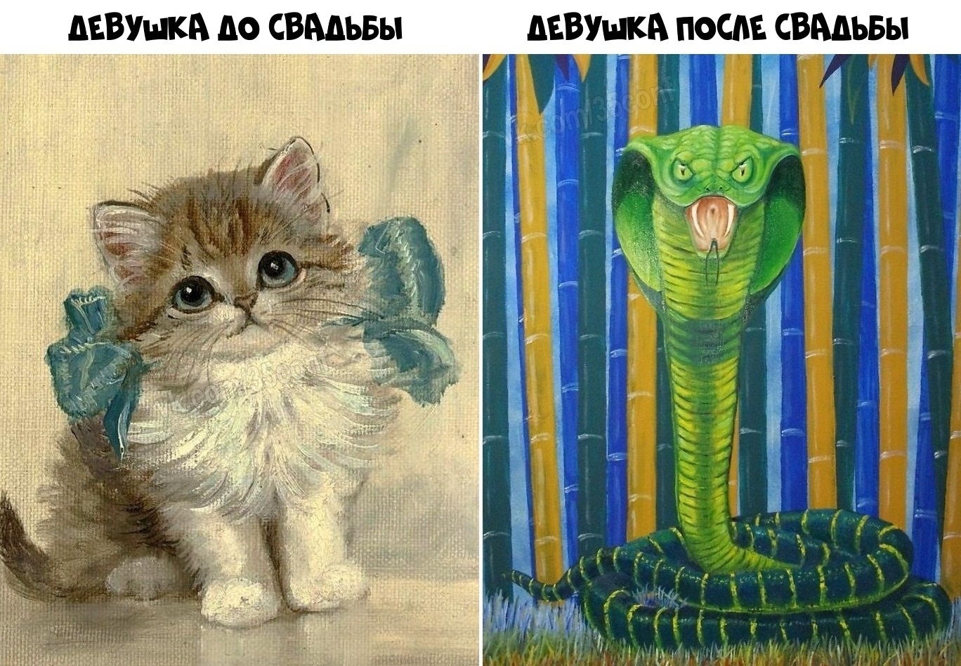 Анекдоты обо всем - Бодибилдинг форум AnabolicShops