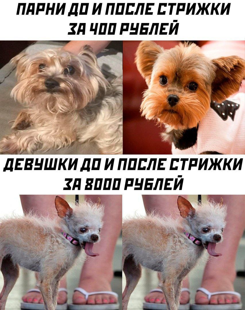 Анекдоты обо всем - Бодибилдинг форум AnabolicShops