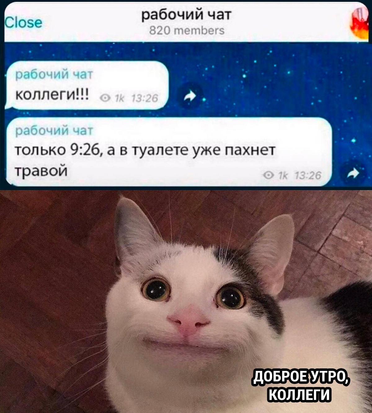 Анекдоты обо всем - Бодибилдинг форум AnabolicShops